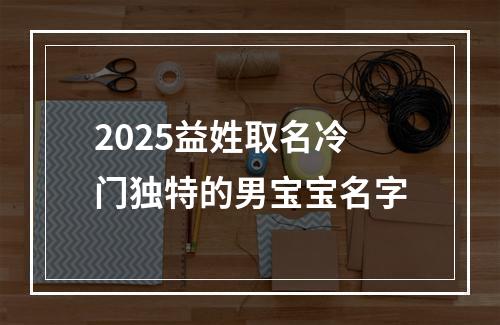 2025益姓取名冷门独特的男宝宝名字