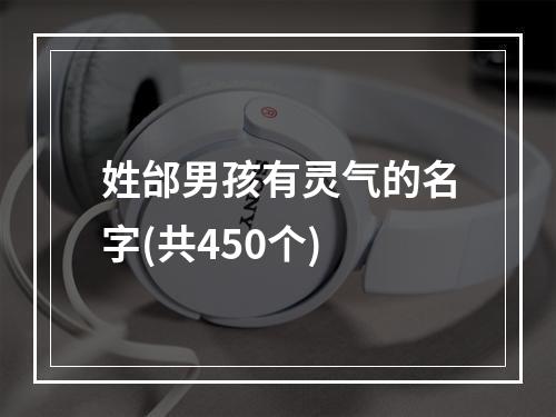 姓邰男孩有灵气的名字(共450个)