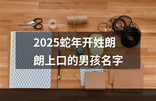 2025蛇年开姓朗朗上口的男孩名字
