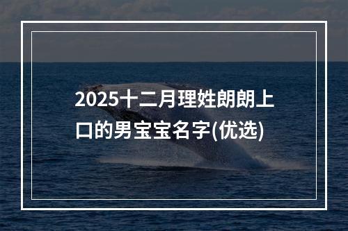 2025十二月理姓朗朗上口的男宝宝名字(优选)