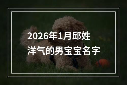 2026年1月邱姓洋气的男宝宝名字