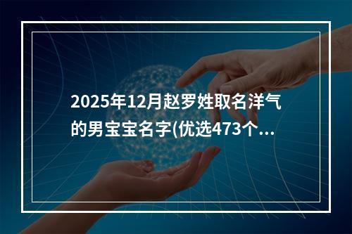 2025年12月赵罗姓取名洋气的男宝宝名字(优选473个)