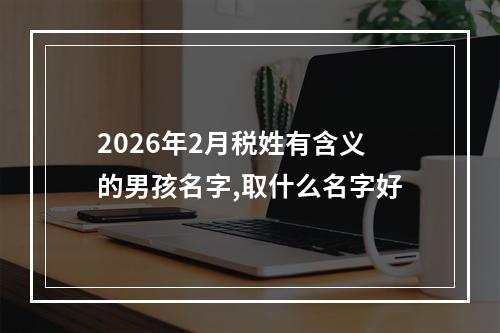 2026年2月税姓有含义的男孩名字,取什么名字好