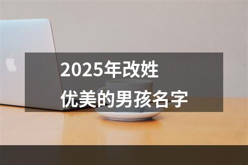 2025年改姓优美的男孩名字