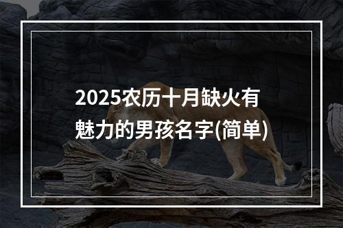 2025农历十月缺火有魅力的男孩名字(简单)