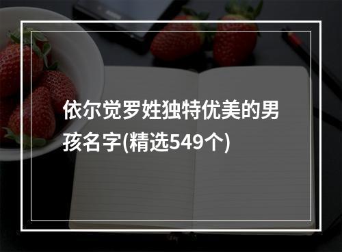 依尔觉罗姓独特优美的男孩名字(精选549个)