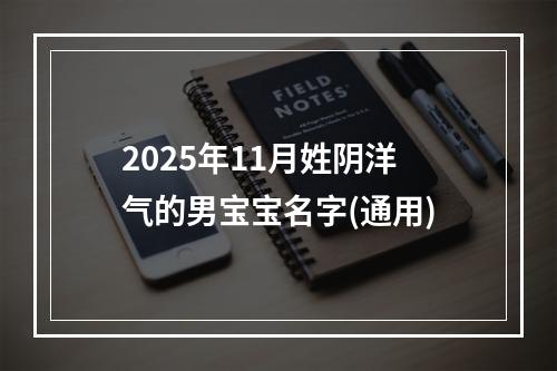 2025年11月姓阴洋气的男宝宝名字(通用)