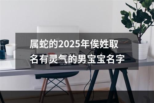 属蛇的2025年俟姓取名有灵气的男宝宝名字