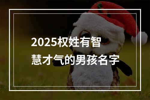 2025权姓有智慧才气的男孩名字
