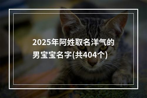 2025年阿姓取名洋气的男宝宝名字(共404个)