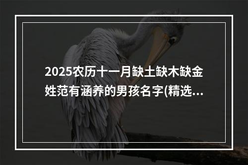 2025农历十一月缺土缺木缺金姓范有涵养的男孩名字(精选)