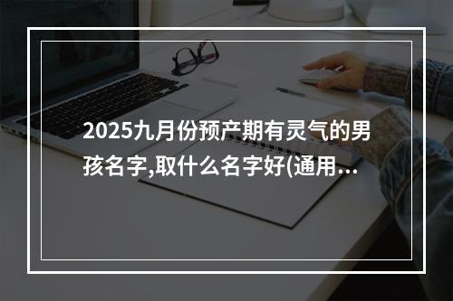 2025九月份预产期有灵气的男孩名字,取什么名字好(通用)