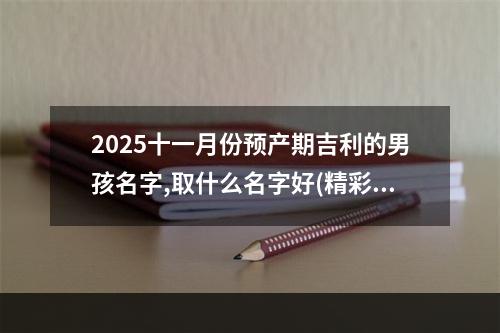2025十一月份预产期吉利的男孩名字,取什么名字好(精彩推荐)