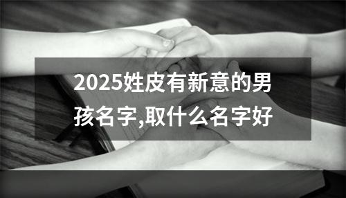 2025姓皮有新意的男孩名字,取什么名字好