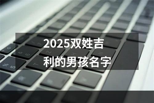2025双姓吉利的男孩名字