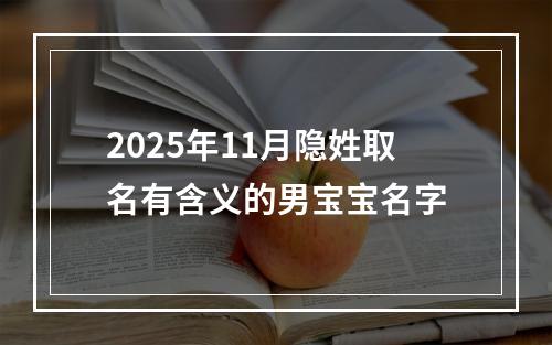 2025年11月隐姓取名有含义的男宝宝名字