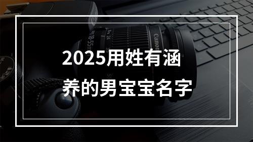 2025用姓有涵养的男宝宝名字