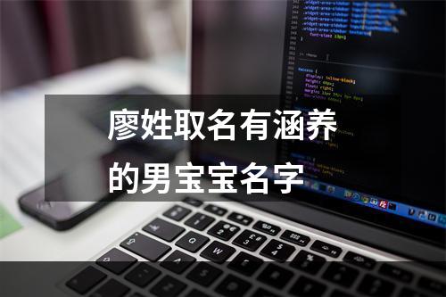 廖姓取名有涵养的男宝宝名字