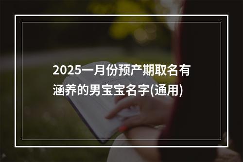 2025一月份预产期取名有涵养的男宝宝名字(通用)