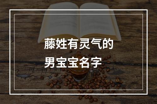 藤姓有灵气的男宝宝名字