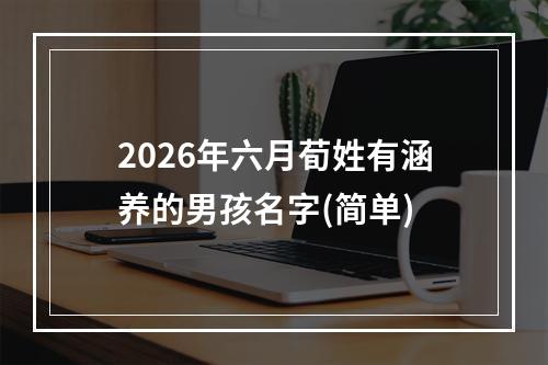 2026年六月荀姓有涵养的男孩名字(简单)