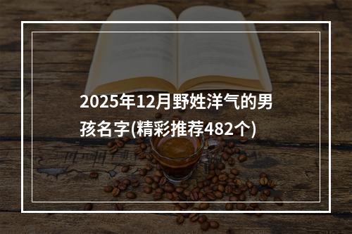 2025年12月野姓洋气的男孩名字(精彩推荐482个)