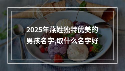 2025年燕姓独特优美的男孩名字,取什么名字好