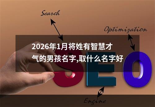 2026年1月将姓有智慧才气的男孩名字,取什么名字好