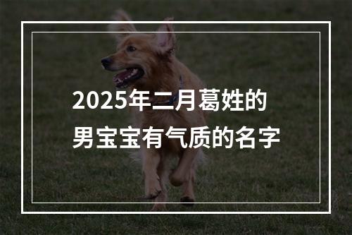 2025年二月葛姓的男宝宝有气质的名字