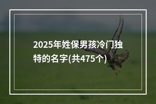 2025年姓保男孩冷门独特的名字(共475个)