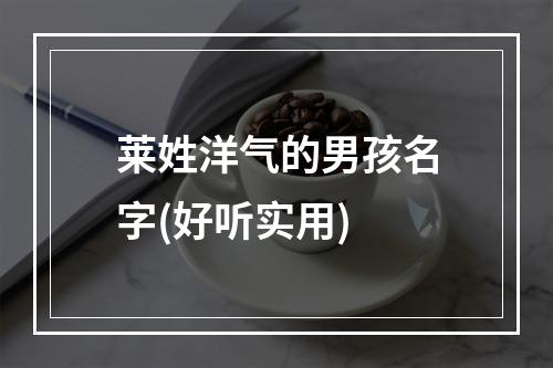 莱姓洋气的男孩名字(好听实用)