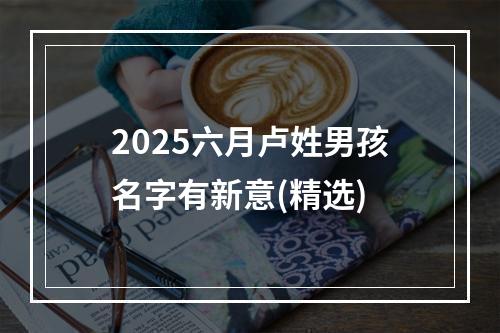 2025六月卢姓男孩名字有新意(精选)