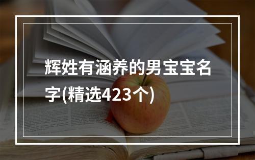 辉姓有涵养的男宝宝名字(精选423个)