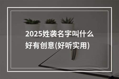 2025姓袭名字叫什么好有创意(好听实用)