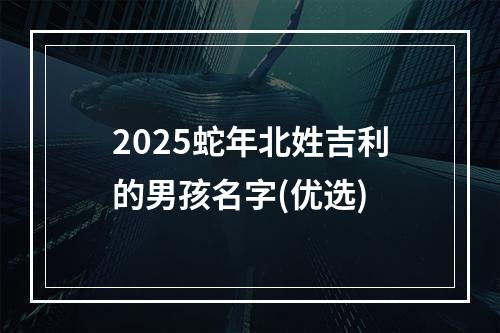 2025蛇年北姓吉利的男孩名字(优选)