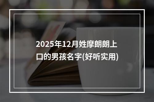 2025年12月姓摩朗朗上口的男孩名字(好听实用)