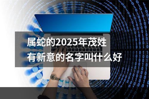 属蛇的2025年茂姓有新意的名字叫什么好