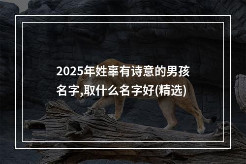 2025年姓辜有诗意的男孩名字,取什么名字好(精选)