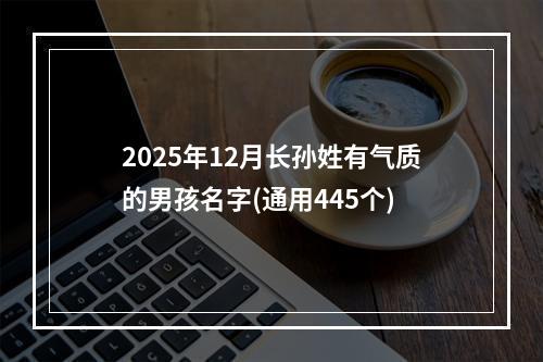 2025年12月长孙姓有气质的男孩名字(通用445个)
