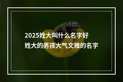 2025姓大叫什么名字好 姓大的男孩大气文雅的名字
