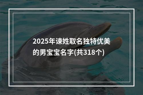 2025年谏姓取名独特优美的男宝宝名字(共318个)