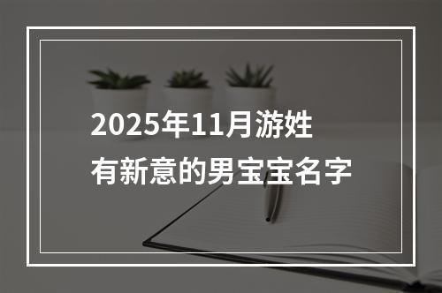 2025年11月游姓有新意的男宝宝名字