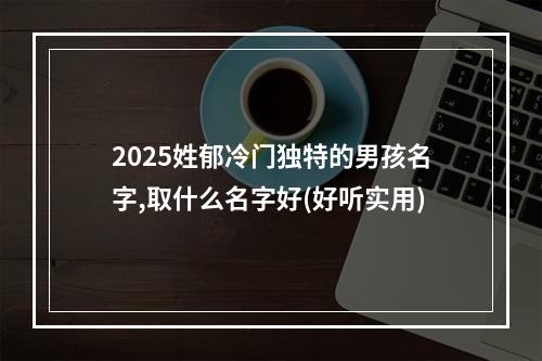 2025姓郁冷门独特的男孩名字,取什么名字好(好听实用)