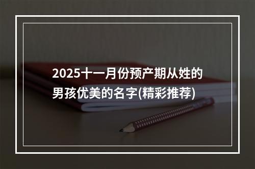 2025十一月份预产期从姓的男孩优美的名字(精彩推荐)