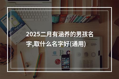 2025二月有涵养的男孩名字,取什么名字好(通用)