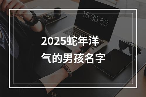 2025蛇年洋气的男孩名字
