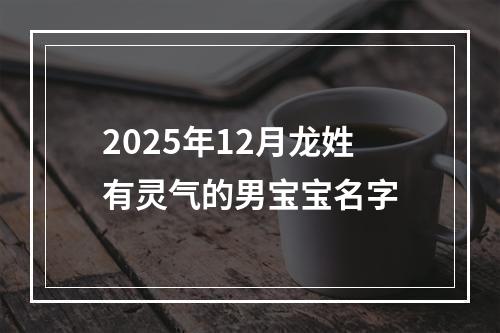 2025年12月龙姓有灵气的男宝宝名字