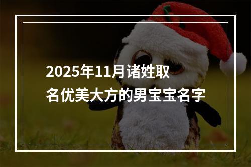 2025年11月诸姓取名优美大方的男宝宝名字
