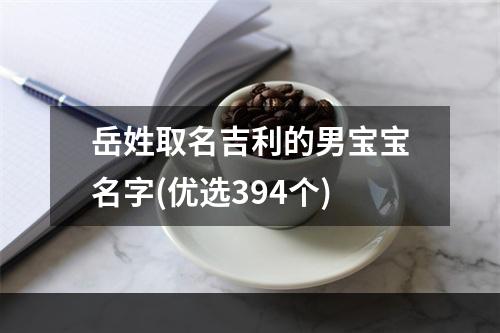岳姓取名吉利的男宝宝名字(优选394个)