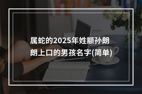 属蛇的2025年姓颛孙朗朗上口的男孩名字(简单)